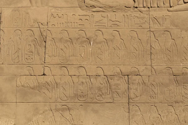 Karnak Tapınağı Amun Kompleksi Duvarlarda Kabartmalı Hiyeroglifler Var Luxor Valiliği — Stok fotoğraf