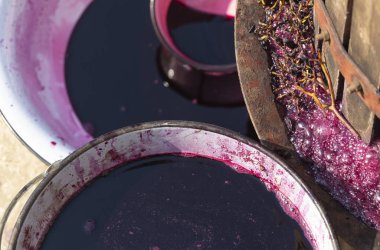 Şarap yapımı. Moldova 'da şarap üretim teknolojisi. Üzüm işlemenin eski halk geleneği. Sıkıştırıcı şarabı bastırmak için kullanılır.. 