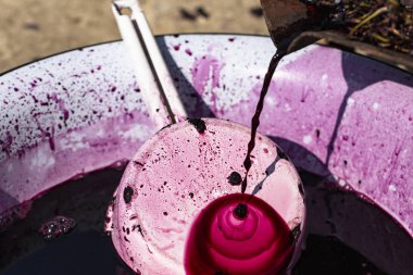  Şarap yapımı. Moldova 'da şarap üretim teknolojisi. Üzüm işlemenin eski halk geleneği. Sıkıştırıcı şarabı bastırmak için kullanılır..