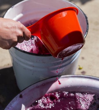 Şarap yapımı. Şarap üreticisi daha ileri işlemler için konteynırdan gerekli olanı alır. Moldova 'da şarap üretim teknolojisi. Üzüm işlemenin eski halk geleneği. Evi hasat et.