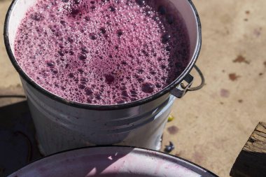 Şarap malzemesi, üzüm suyu - mutlaka, stum, maun. Şarap üretim teknolojisi. Şarap yapma geleneği. Eski üzüm işleme geleneği. Moldova 'da şarap üretimi.