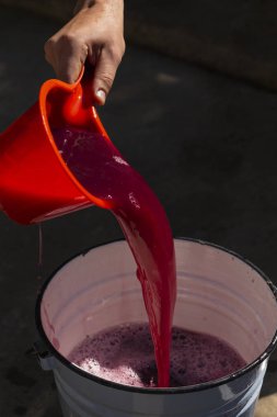 Şarap yapımı. Şarap üreticisi daha ileri işlemler için konteynırdan gerekli olanı alır. Moldova 'da şarap üretim teknolojisi. Üzüm işlemenin eski halk geleneği. Evi hasat et.