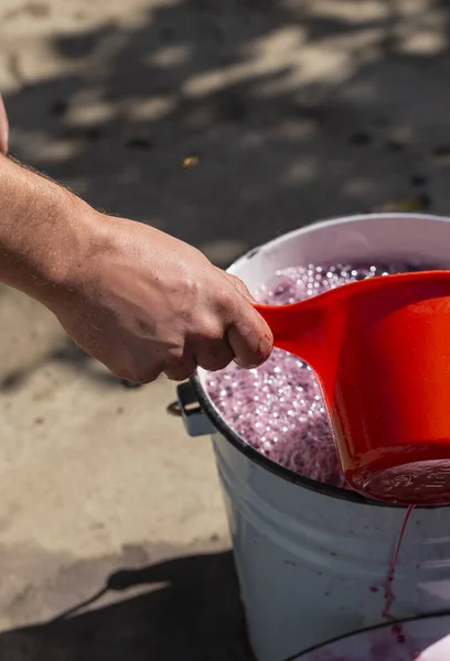 Wine making. The winemaker extracts the must from the container for further processing. Technology of wine production in Moldova. The  ancient folk tradition of grape processing. Harvest home.