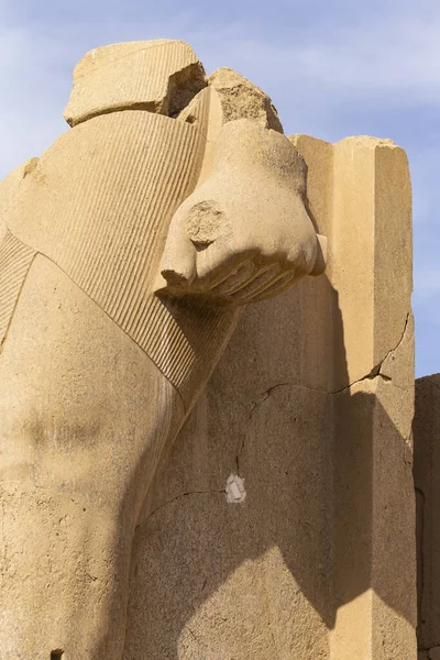 Statues Ramsès Egypte Luxor Temple Karnak Complexe Amun Patrimoine Mondial — Photo