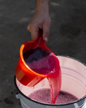 Şarap yapımı. Şarap üreticisi daha ileri işlemler için konteynırdan gerekli olanı alır. Moldova 'da şarap üretim teknolojisi. Üzüm işlemenin eski halk geleneği. Evi hasat et.