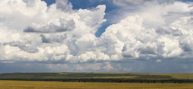 Yağmurdan önce buğday tarlaları. Mavi gökyüzünde kümülatif bulut su manzarası. Güney Avrupa'daki arazi. Dünya gezegenindeki fantastik gökyüzü. Güneş gizlidir. Panorama.