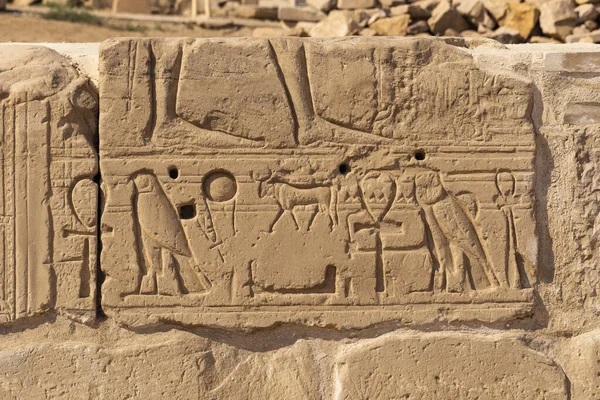 Karnak Tempel Komplex Von Amun Eingeprägte Hieroglyphen Wänden Luxor Ägypten — Stockfoto