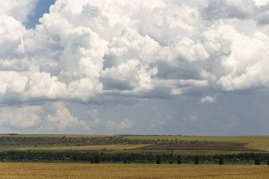 Yağmurdan önce buğday tarlaları. Mavi gökyüzünde kümülatif bulut su manzarası. Güney Avrupa'daki arazi. Dünya gezegenindeki fantastik gökyüzü. Güneş gizlidir. Panorama.