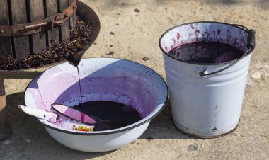 Şarap yapımı. Moldova 'da şarap üretim teknolojisi. Üzüm işlemenin eski halk geleneği. Sıkıştırıcı şarabı bastırmak için kullanılır.. 