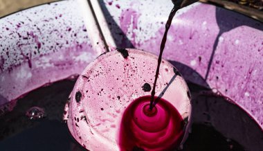  Şarap yapımı. Moldova 'da şarap üretim teknolojisi. Üzüm işlemenin eski halk geleneği. Sıkıştırıcı şarabı bastırmak için kullanılır..