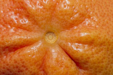 Greyfurt. Turuncu-turunçgil teni arka plan resmi olarak makro resmi kapat.