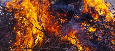 Yanan ateş. Shrovetide içinde büyük şenlik ateşi. Yanan ağaç dalları. İnsanlar ateşe bak. Pagan ayin baharın gelişini adanmış.