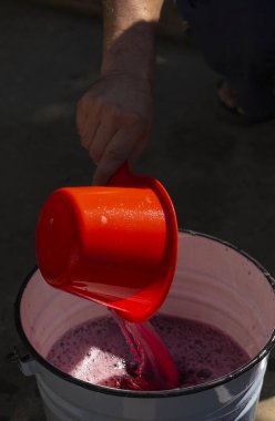 Şarap yapımı. Şarap üreticisi daha ileri işlemler için konteynırdan gerekli olanı alır. Moldova 'da şarap üretim teknolojisi. Üzüm işlemenin eski halk geleneği. Evi hasat et.