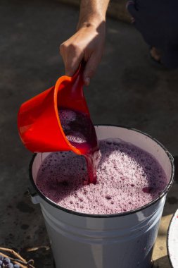 Şarap yapımı. Şarap üreticisi daha ileri işlemler için konteynırdan gerekli olanı alır. Moldova 'da şarap üretim teknolojisi. Üzüm işlemenin eski halk geleneği. Evi hasat et.