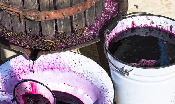 와인만들기 몰도바에서의 포도주 가공의 압착기는 포도주를 짜는데 — 스톡 사진