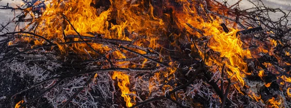 Fuego Ardiente Una Gran Hoguera Shrovetide Ardiendo Ramas Árboles Gente —  Fotos de Stock