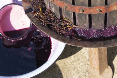 Wine making. Technology of wine production in Moldova. The  ancient folk tradition of grape processing. The squeezer is used to press the wine.  clipart