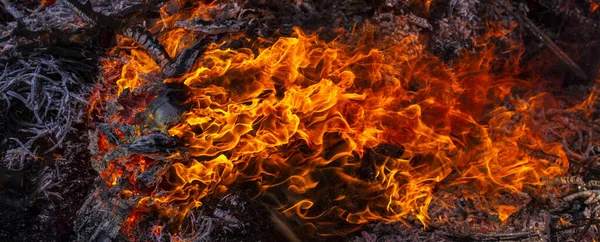 Loderndes Feuer Großes Lagerfeuer Der Fastnacht Brennende Äste Die Menschen — Stockfoto
