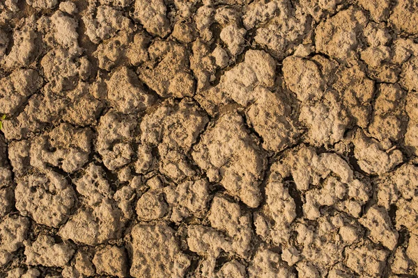 乾燥した大地の干ばつは水を割らなかった 水はけの良い正方形のために地面が割れ — ストック写真