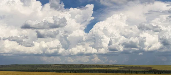Wheat Fields Rain Cumuliform Cloudscape Blue Sky Terrain Southern Europe — Stock Photo, Image