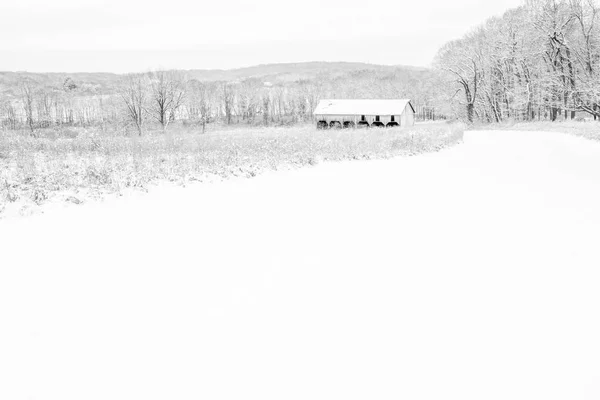 Minimalist black and white old farm barn background. Rural winter scenery