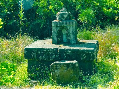 Çiftçi Samadhi (Mezar) Hindistan, çiftlikte