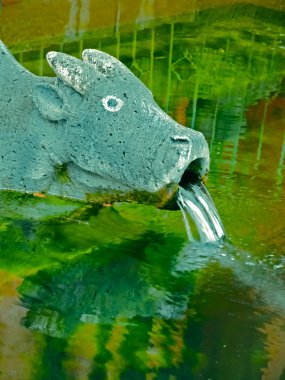 Gomukh, Hindistan, Baneshwar Maharashtra 'daki Mahadeva Tapınağı' nda taştan yapılmış inek ağzı.