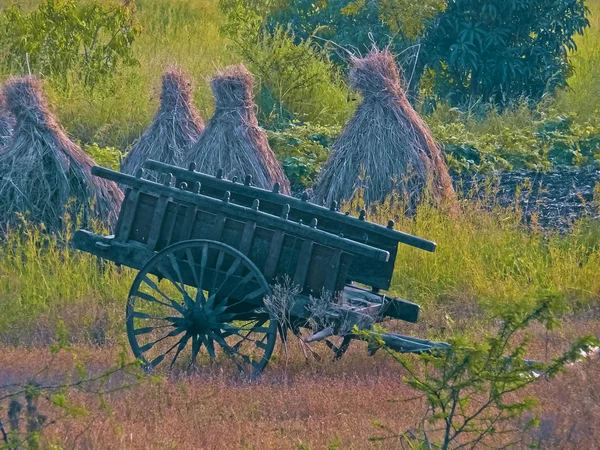 Carro Buey Cerca Campo —  Fotos de Stock