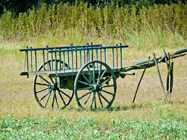 Carro Buey Cerca Campo —  Fotos de Stock