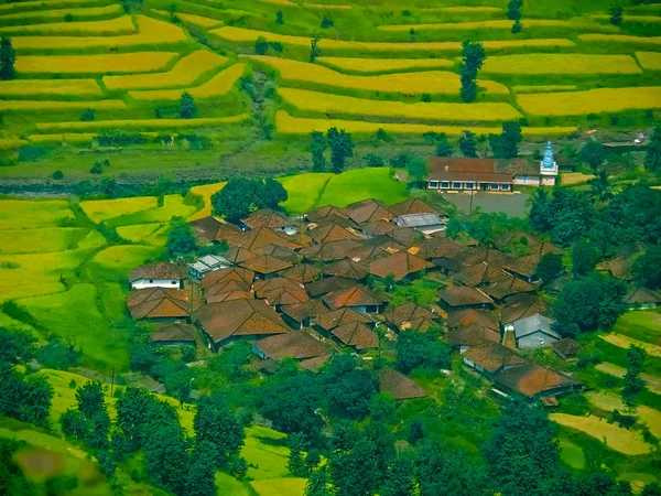 Sahyadri Valley Village Panchgani Satara Maharashtra India — 图库照片