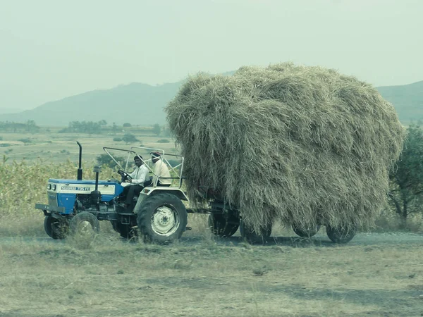 Трактор Загруженный Кучей Сухой Травы Кормления Домашних Животных Пуна Индия — стоковое фото