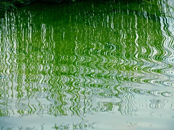 Vodní Vlny Reflexe Trávy Vodě Rybníka — Stock fotografie