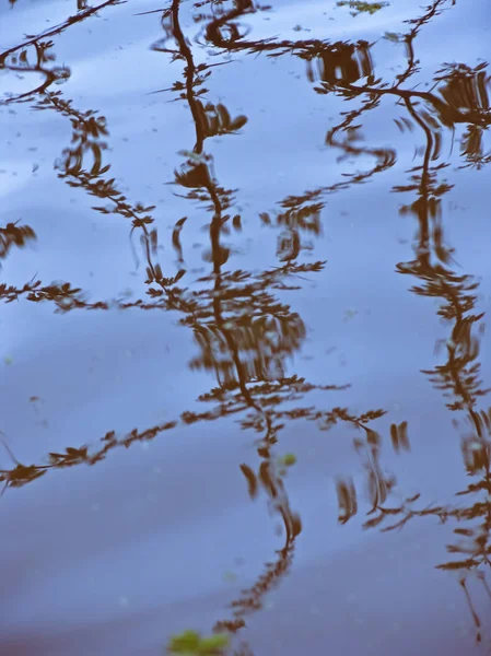 水の波と水の池で草の反射 — ストック写真