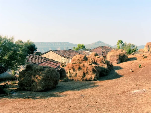 Heaps Paddy Stocked Feeding Domestic Animals Houses Rural Area Way — 스톡 사진