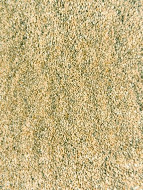 Sesamum indicum L. S. orientale L. Pedaliace