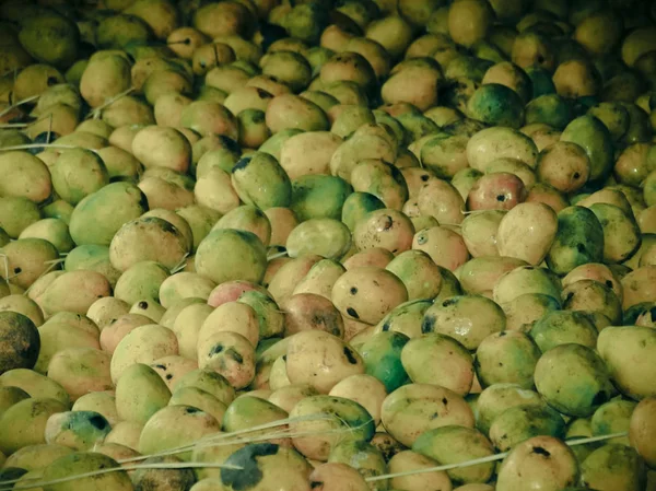 Манго, Mangifera indica л., зберігаються під сараї манго обробки завод — стокове фото