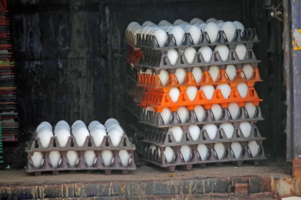Carton White Eggs — Stock Photo, Image