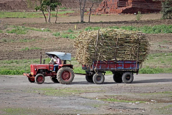 Трактор laded зі джгутами sugarcanes, Satara, Махараштра , — стокове фото