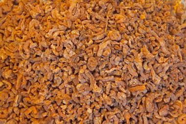 Bir balık pazarı Maharashtra, Hindistan satmak için kuru balıklar