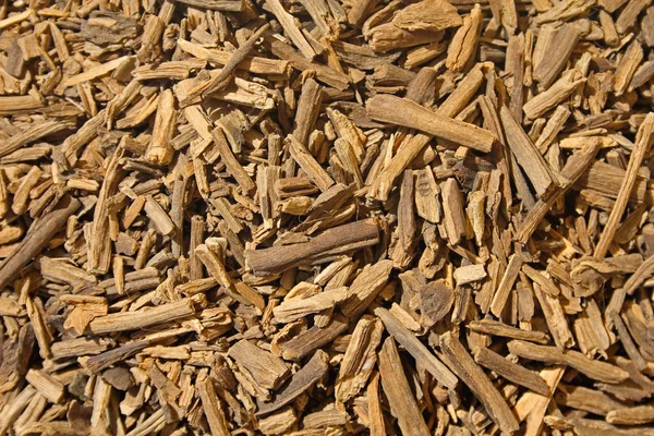 Palo Santo Tree incense sticks