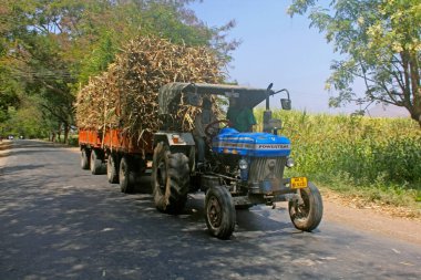 Traktör sugarcanes, Satara, Maharashtra demetleri ile laded ,