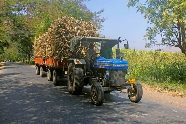 Трактор загружен пучками сахарного тростника, Сатара, Махараштра  , — стоковое фото