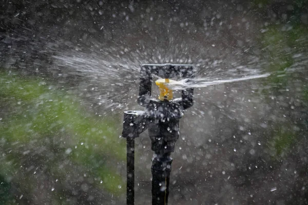 Aspersor de microjato para irrigação de água, Índia — Fotografia de Stock