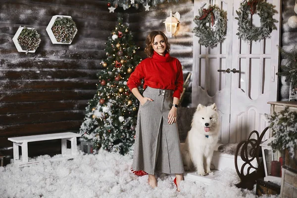 Chica modelo feliz en un suéter acogedor rojo y pantalones a cuadros posando con lindo perro Samoyedo blanco nieve en el interior rústico de Navidad. Hermosa mujer joven en traje modish posando con un lindo perro esponjoso —  Fotos de Stock