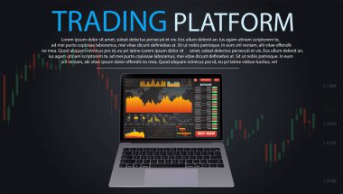 Dizüstü bilgisayar ekranı ile mali harita ve Graphs.Set Infographics. Eps10