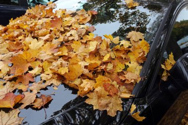 Sonbahar yaprakları bir arabayı örtüyor