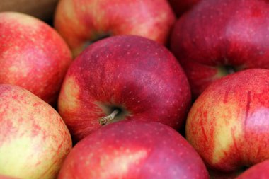 Elma, Jonagored, taze meyve