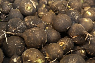 Bir sürü siyah turp.