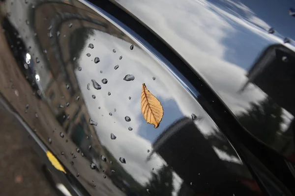 Folhas de castanha no capô de um carro preto com gotas — Fotografia de Stock