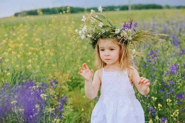 小さな女の子花カモミール花輪フィールド バイオレット — ストック写真